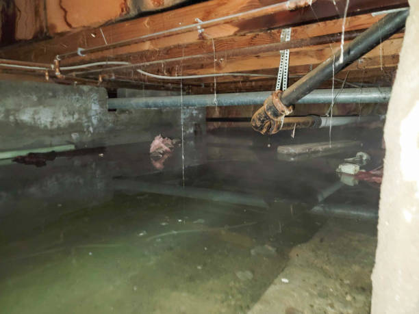 Best Water damage cleanup near me  in Fitchburg, MA