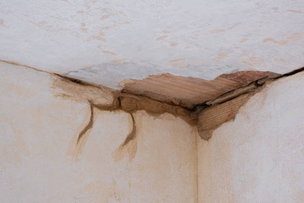 Best Ceiling water damage repair  in Fitchburg, MA