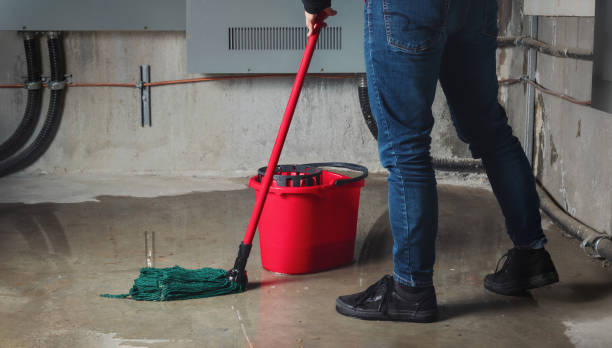 Best Water damage restoration near me  in Fitchburg, MA