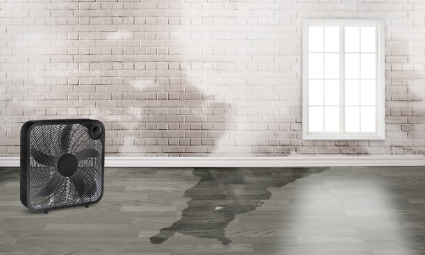 Water damage restoration insurance claims in Fitchburg, MA