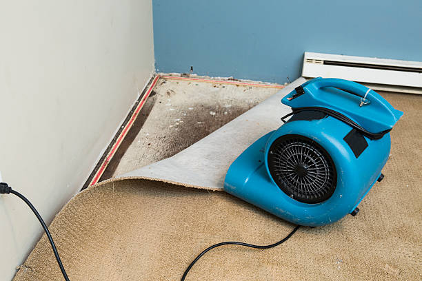Best Local water damage restoration  in Fitchburg, MA